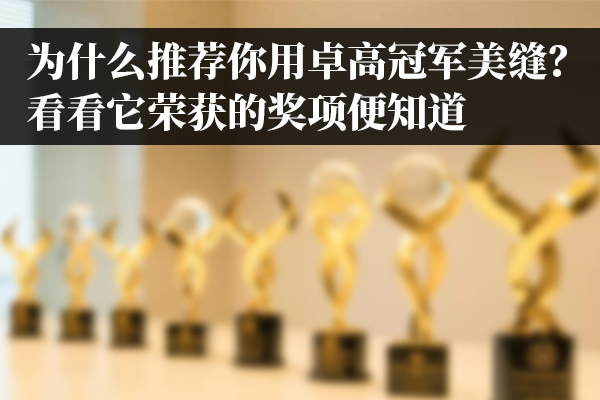 好伴侣美缝的荣誉