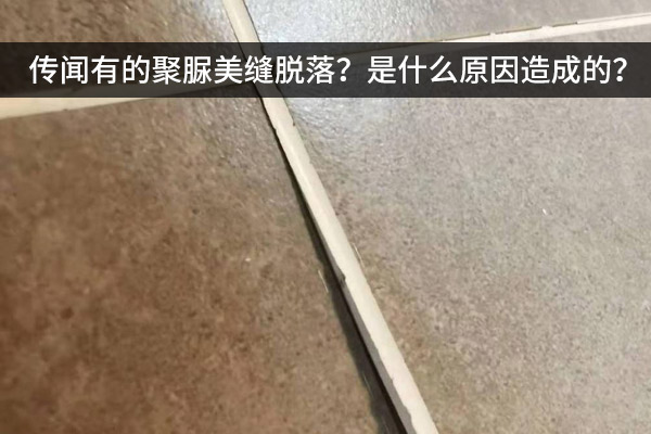 美缝脱落